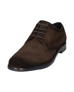 Mansaro Lace Suede Shoe in Brown