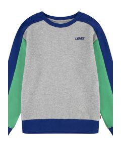 Block Coloured Sweatshirt in Grey